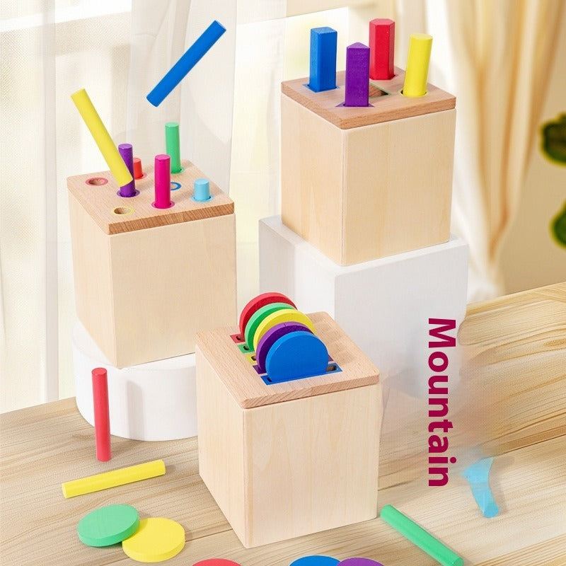 Wooden Montessori Color Matching Educational Toy