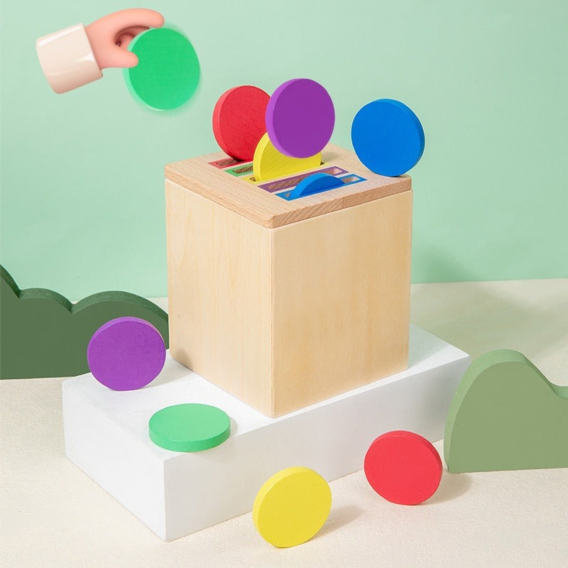 Wooden Montessori Color Matching Educational Toy