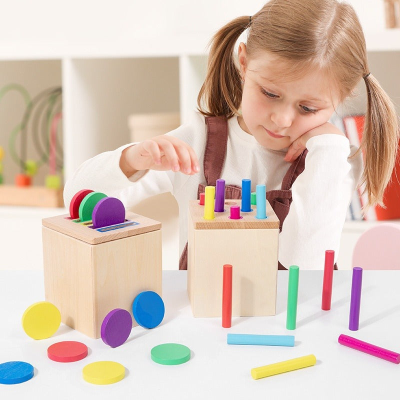 Wooden Montessori Color Matching Educational Toy